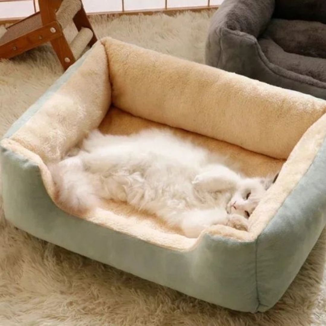 lit-pour-chat-vert.jpg