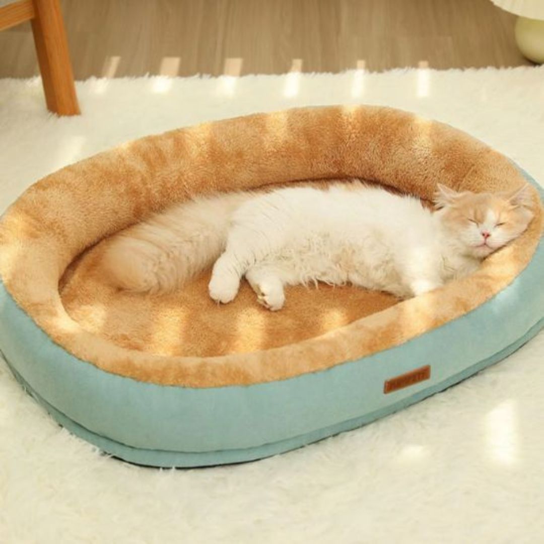 lit-pour-chat-vert_7b485537-eb36-4ac8-91a6-ffa28ebdf7f1.jpg