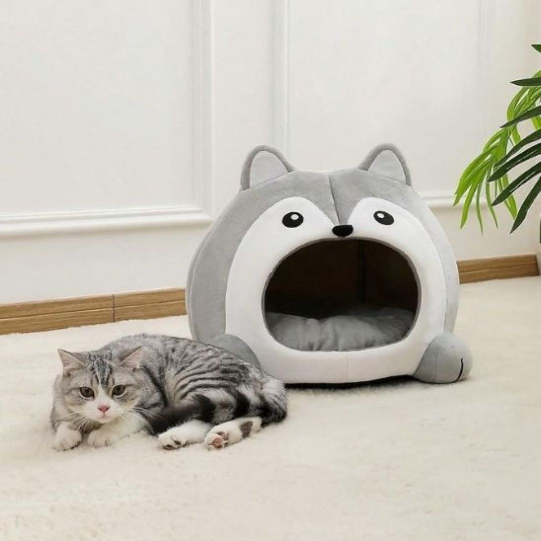 Casa para gato | FoxyNest™