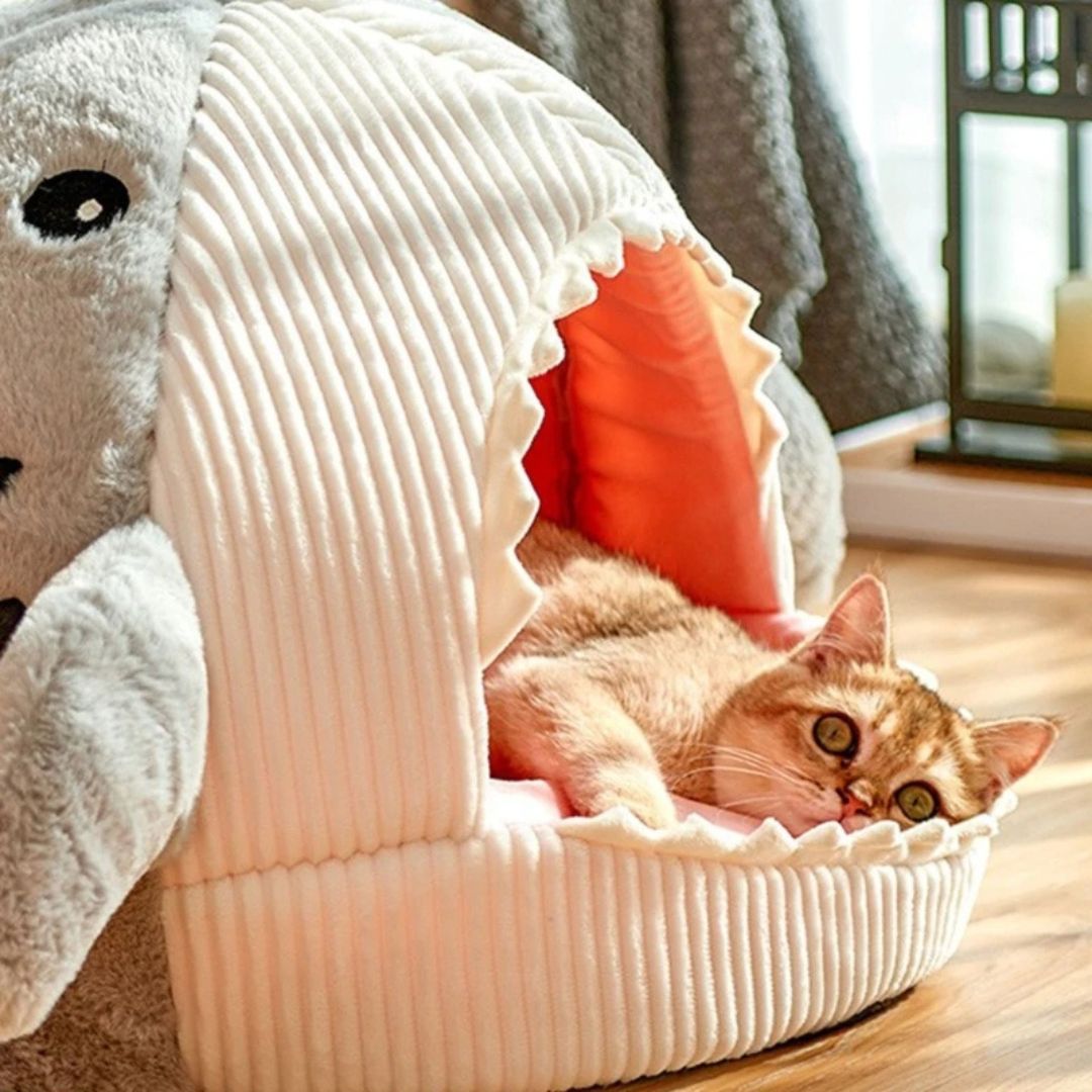 niche-pour-chat-sommeil.jpg