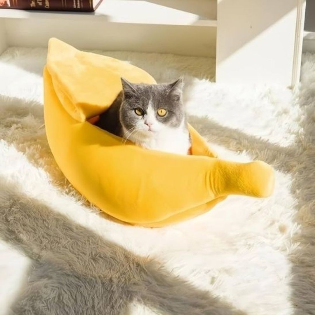 Cesta para gato | BanaRest™