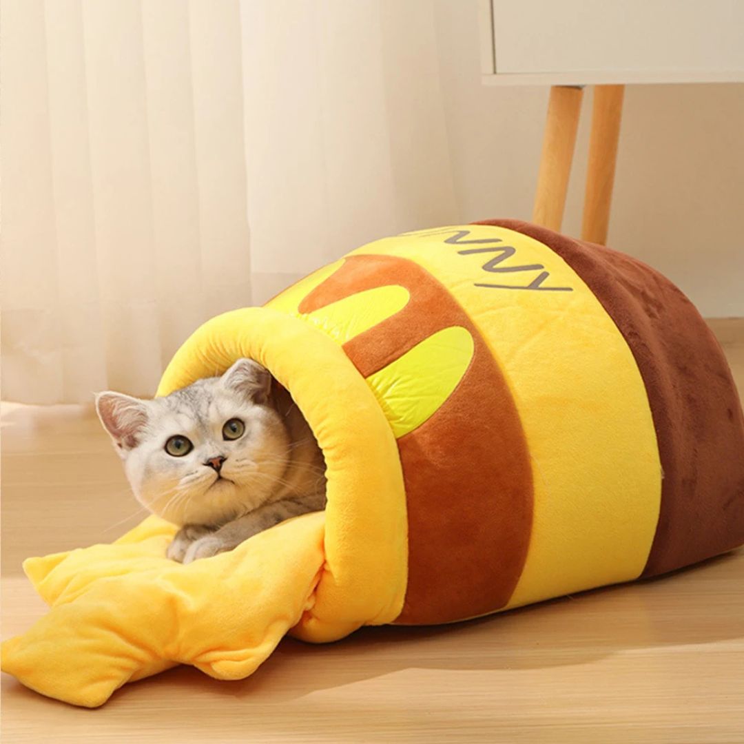 Cesta para gato | MielOasis™