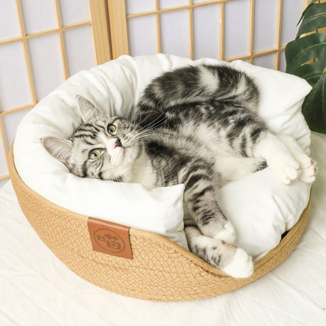 panier-chat-confortable_858cf3bf-f09c-4a6c-998c-d4973e35097a.jpg