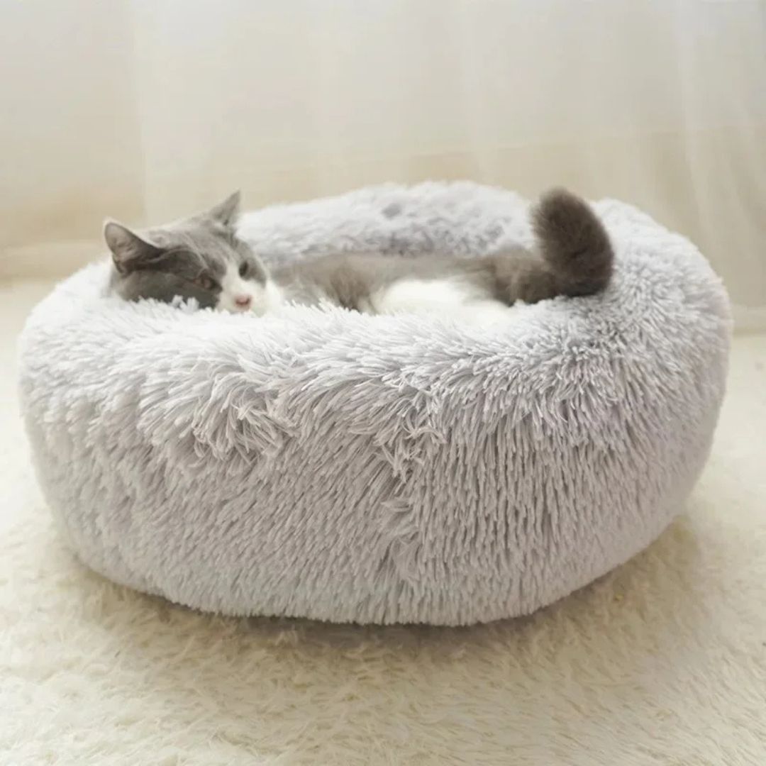 panier-chat-gris-clair.jpg