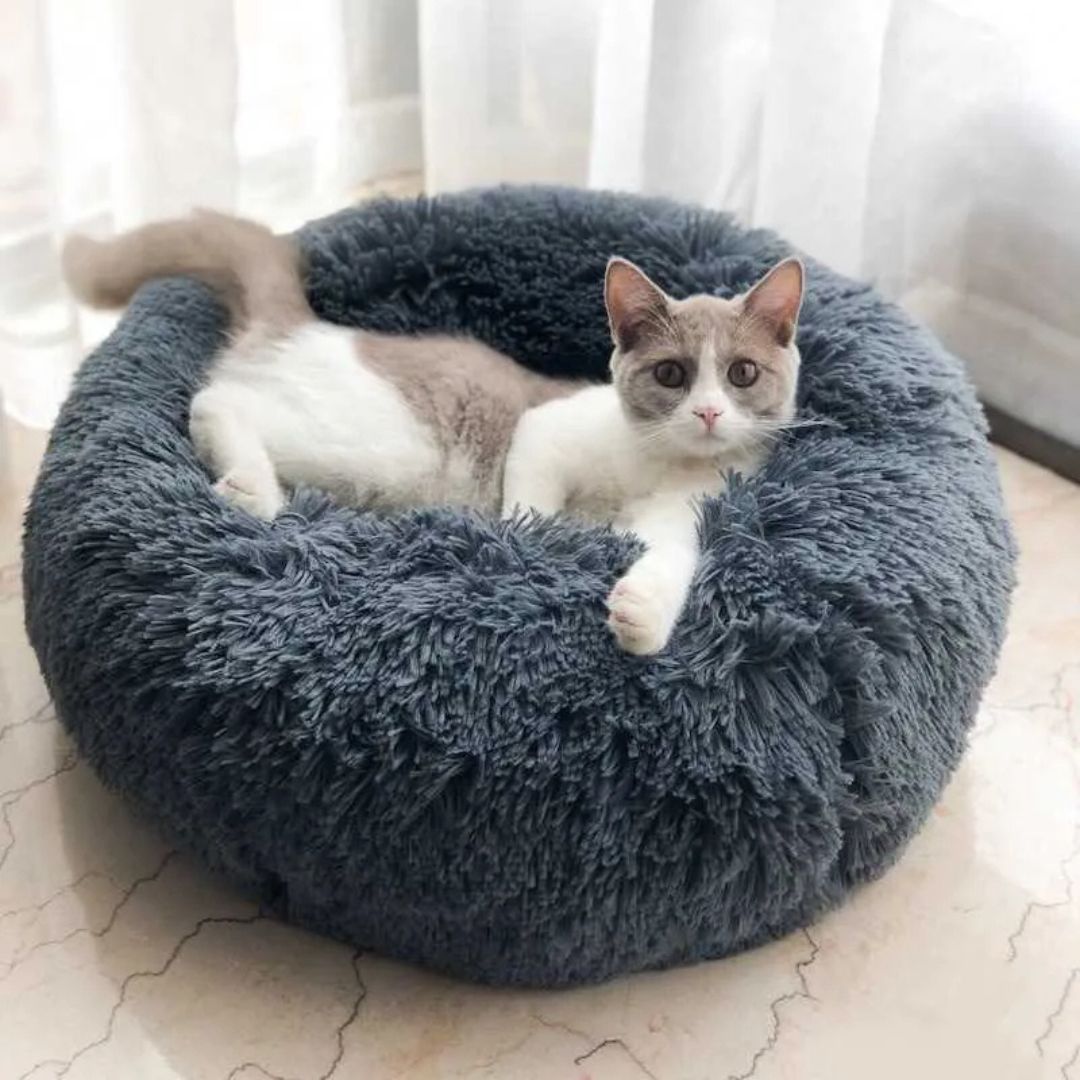 Cesta para gato | PurrZen™