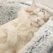 Cesta para gato | PlushKittybed™
