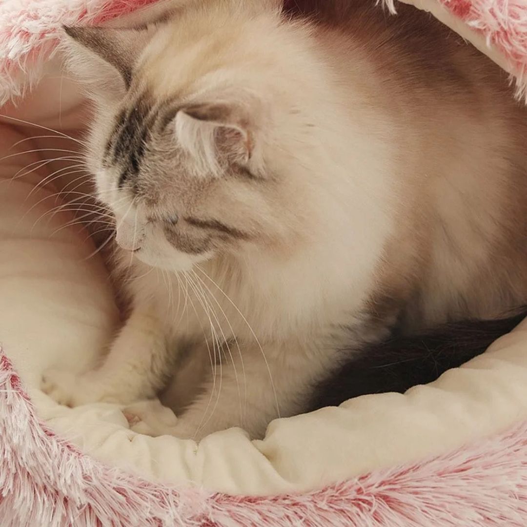 Cesta para gato | PlushKittybed™