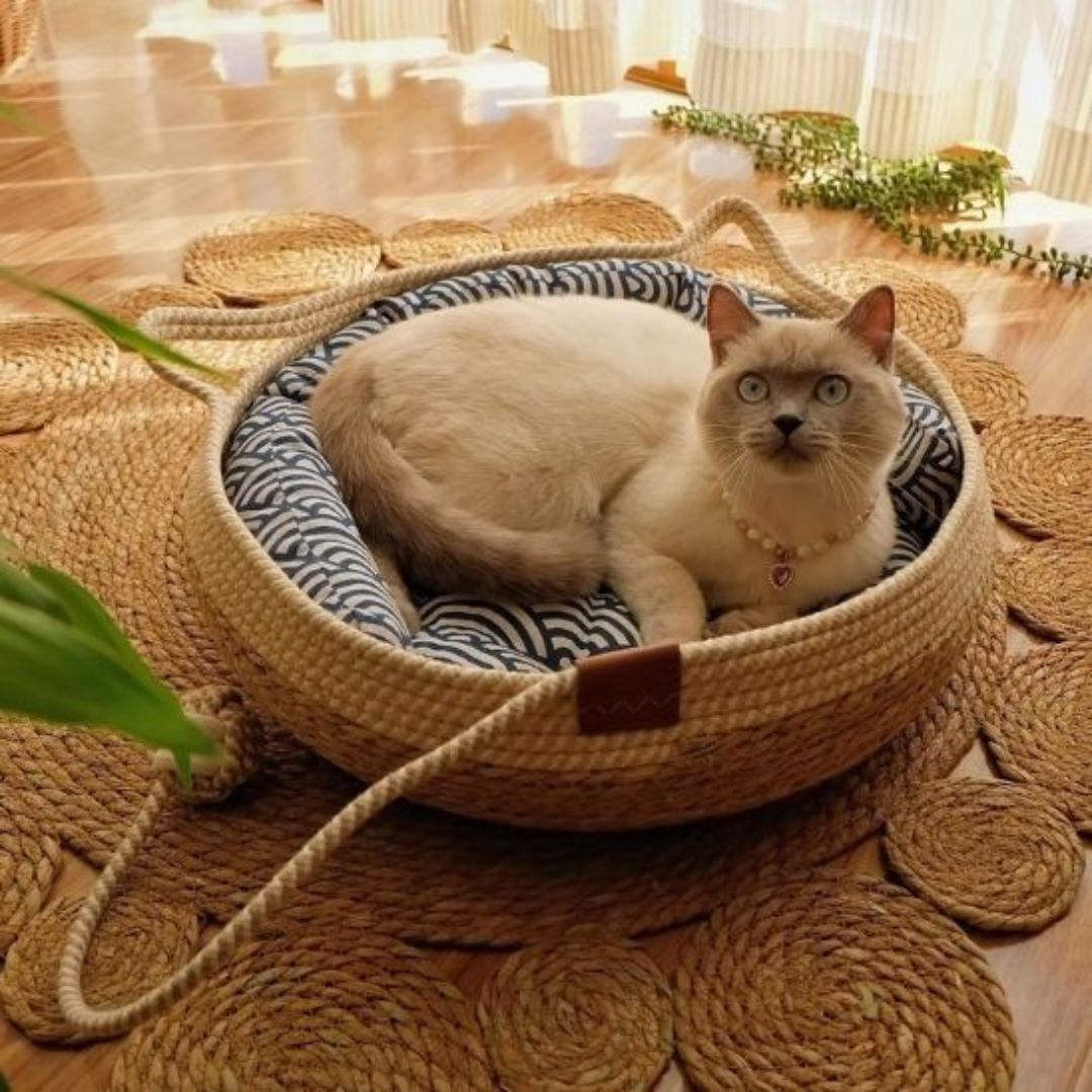 Cesta para gato | KittyDream™