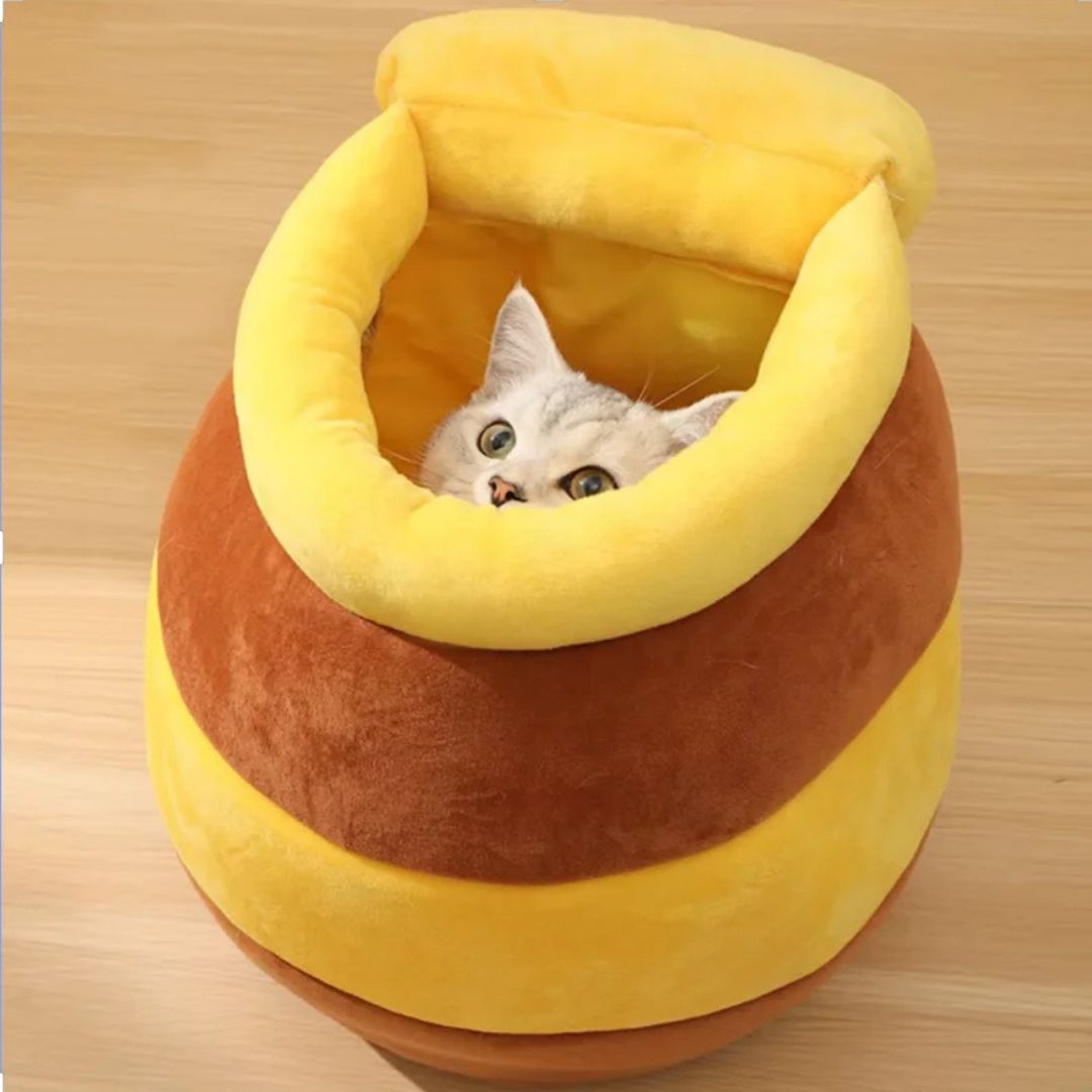 Cesta para gato | MielOasis™