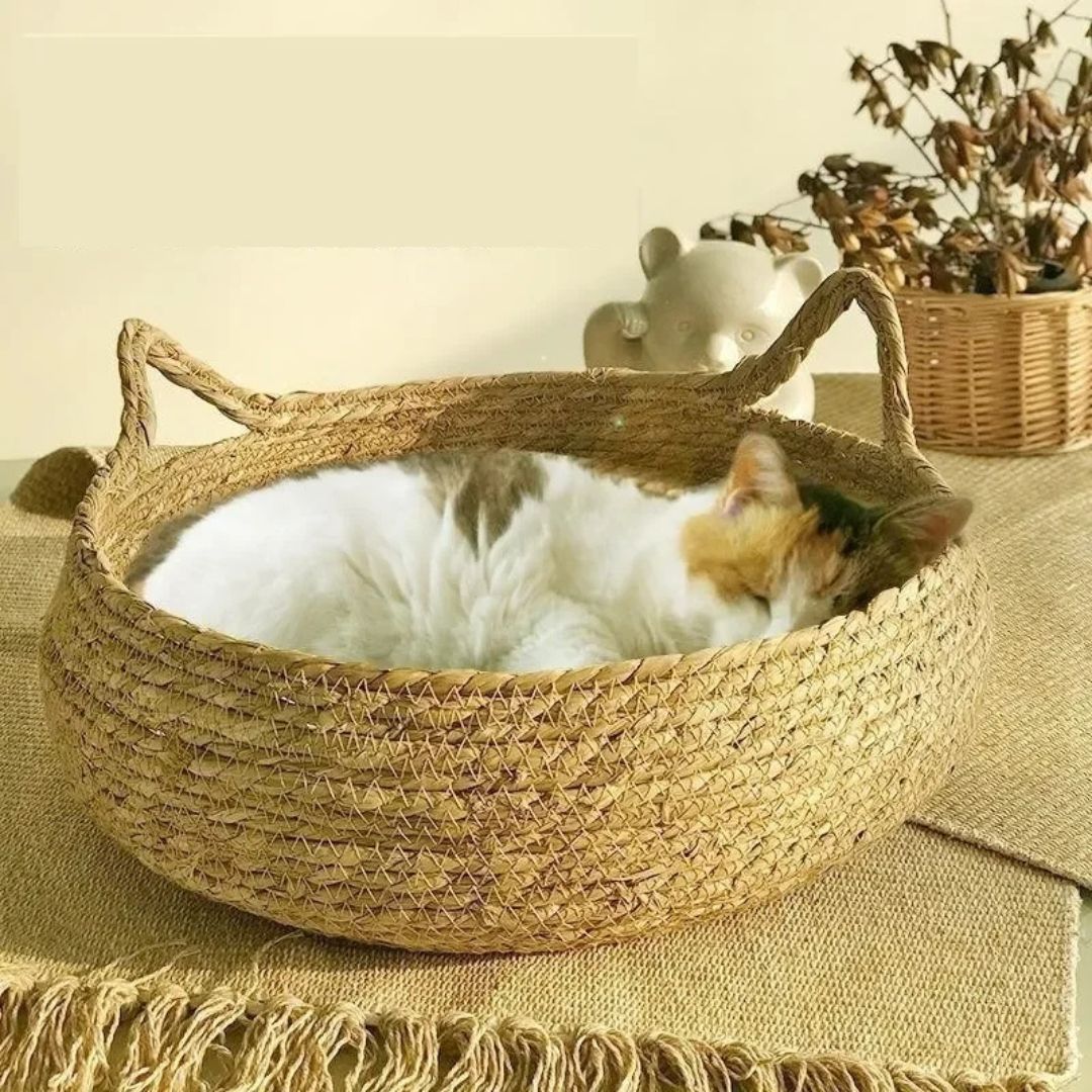 panier-chat-sommeil_95f5feb4-72c3-432e-9c77-78a482cb3fa7.jpg