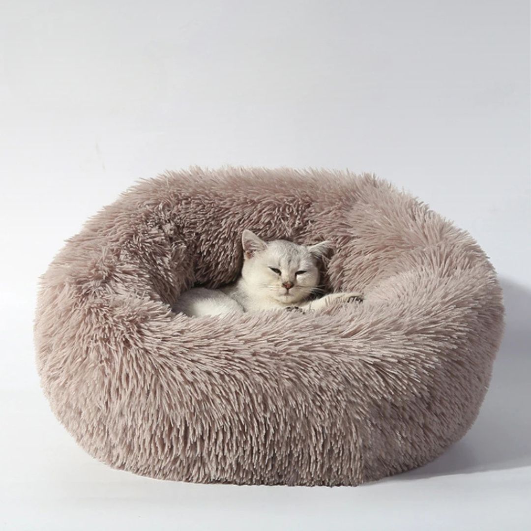Cesta para gato | PurrZen™