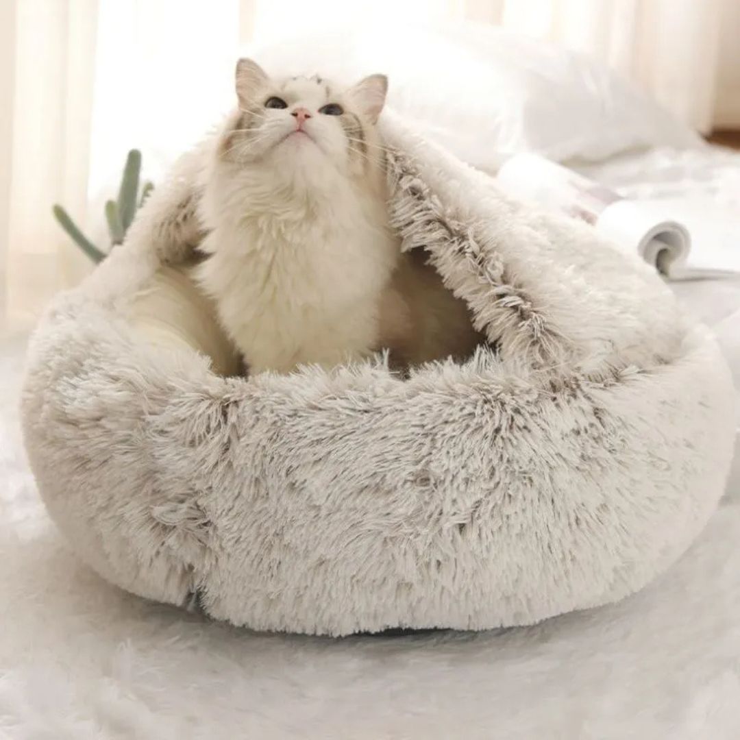 panier-chat.jpg