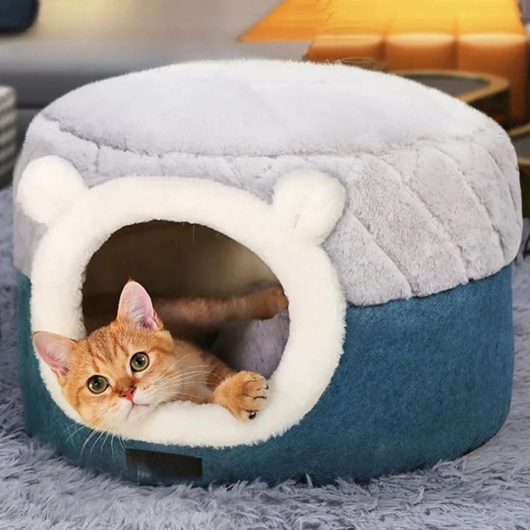 panier-pour-chat-bleu.jpg
