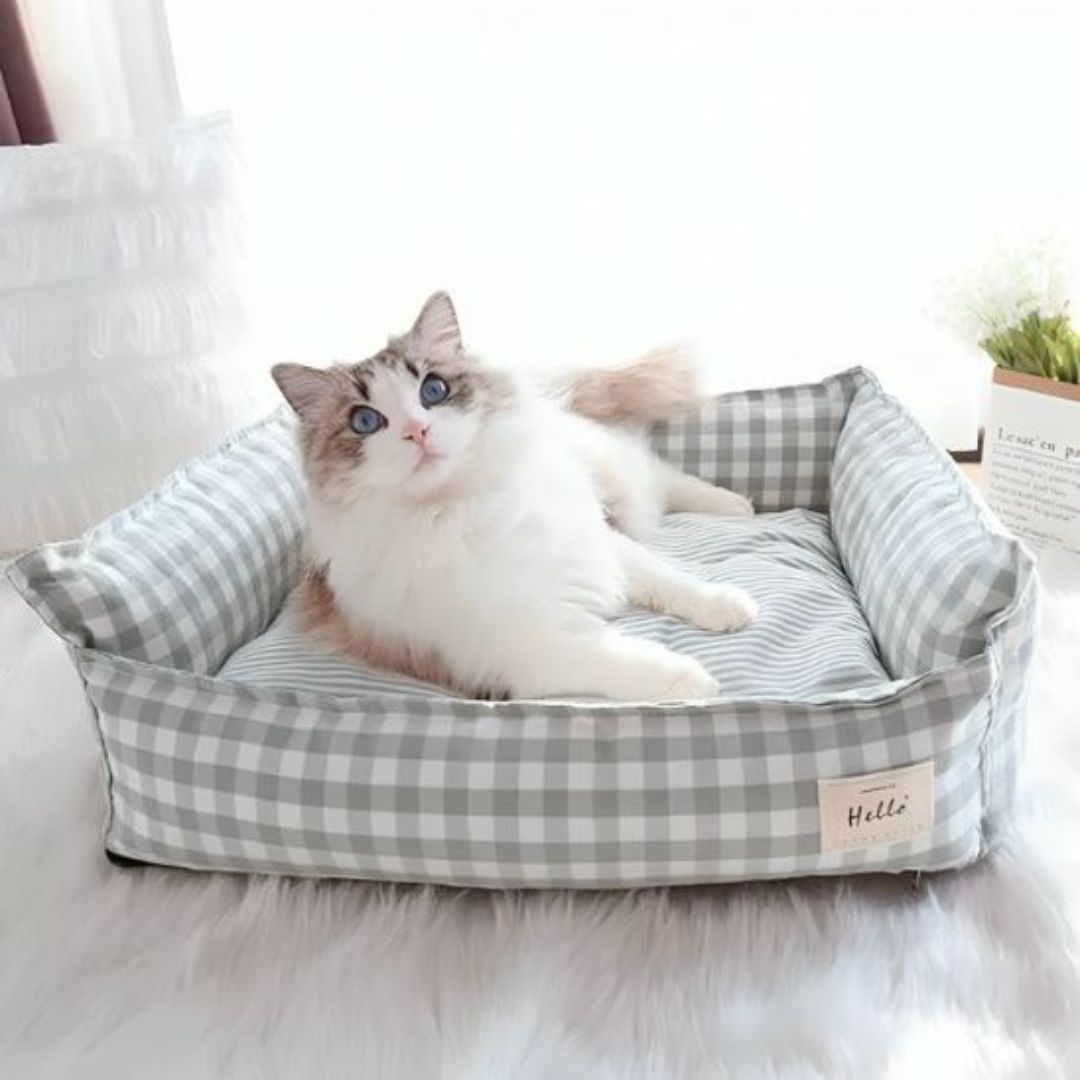 Cama para gato | DreamyNest™