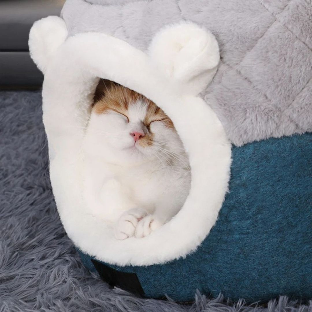 panier-pour-chat-cocon.jpg