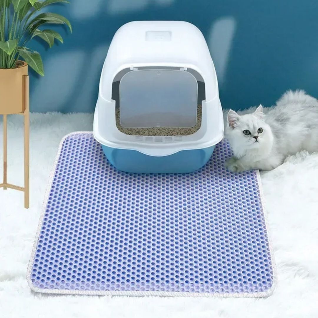 tapis-litiere-chat-bleu.jpg