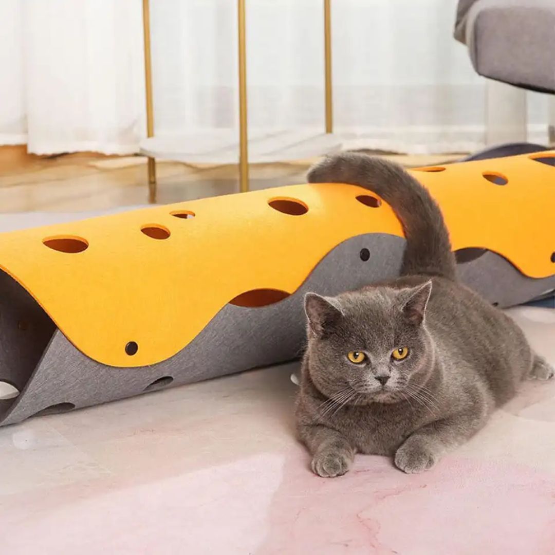 tunnel-chat-gris.jpg