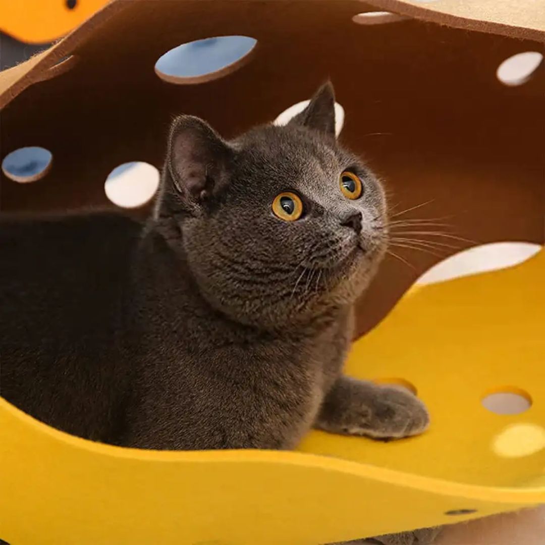 tunnel-chat-refuge.jpg
