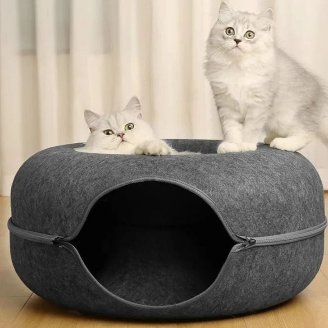 tunnel-pour-chat-confortable.jpg