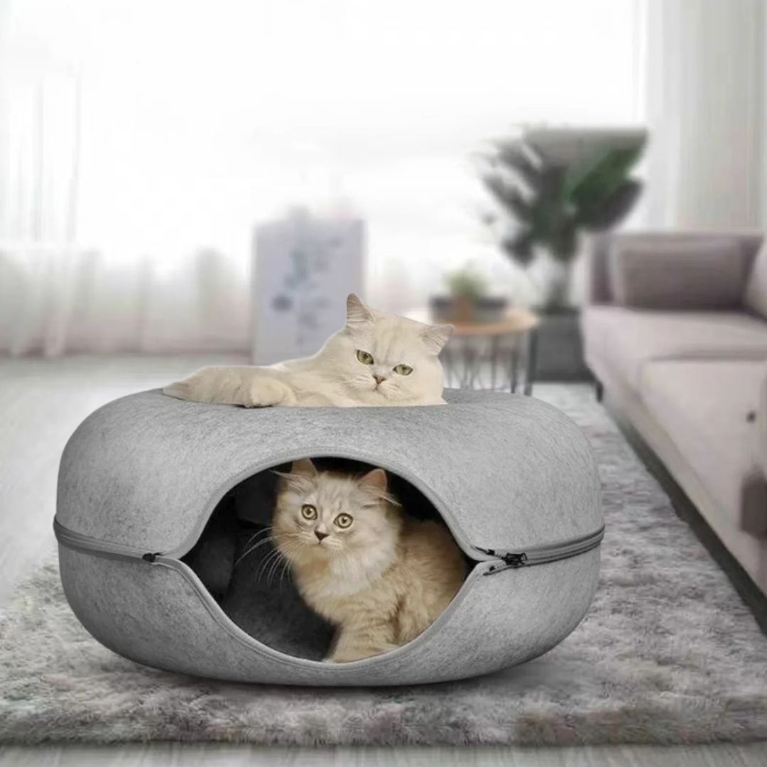 Tunnel pour chat | DonutFun™