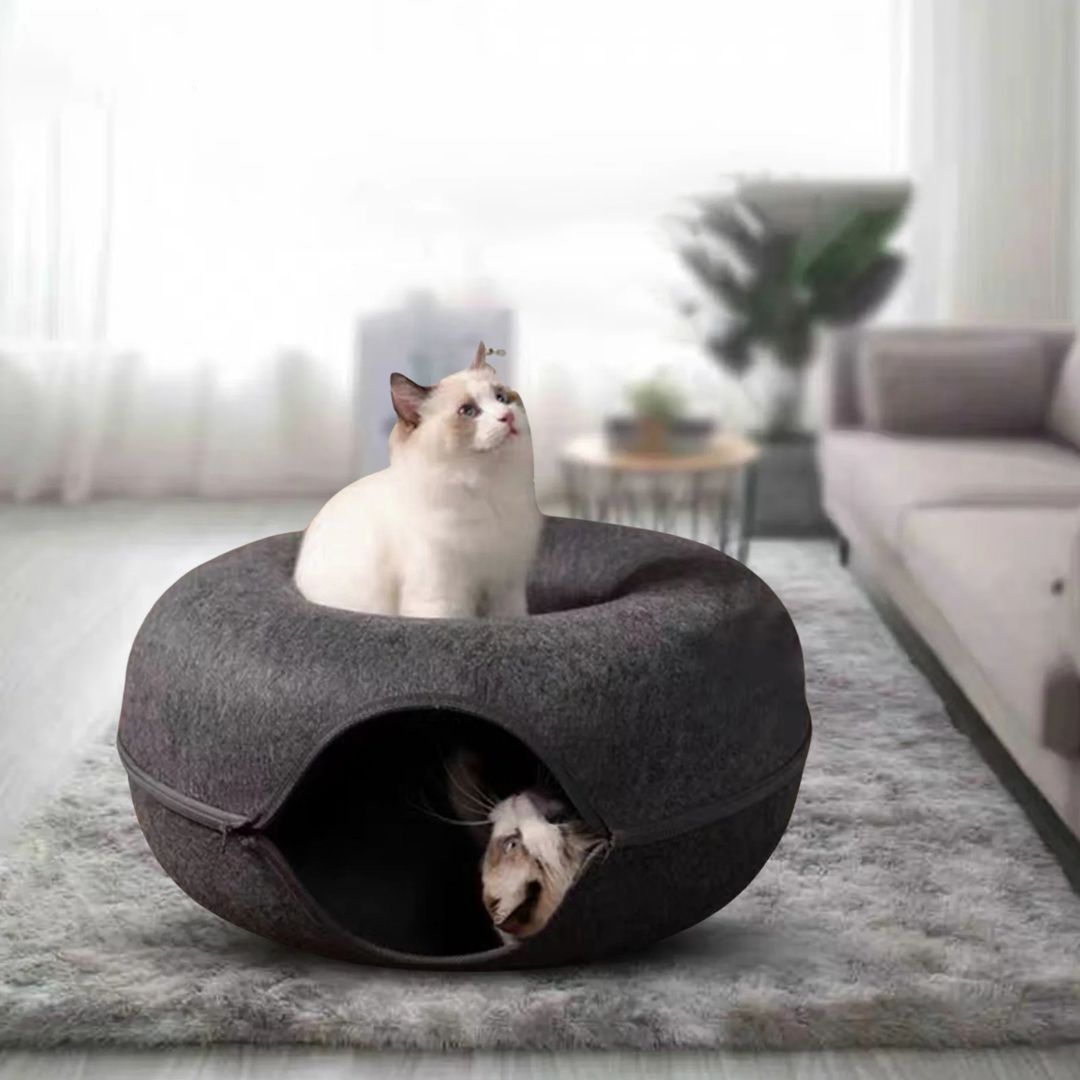 tunnel-pour-chat-noir.jpg